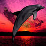 Dolphin at sunset