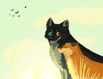 .through the light of the setting sun by BlackCat-Flowering