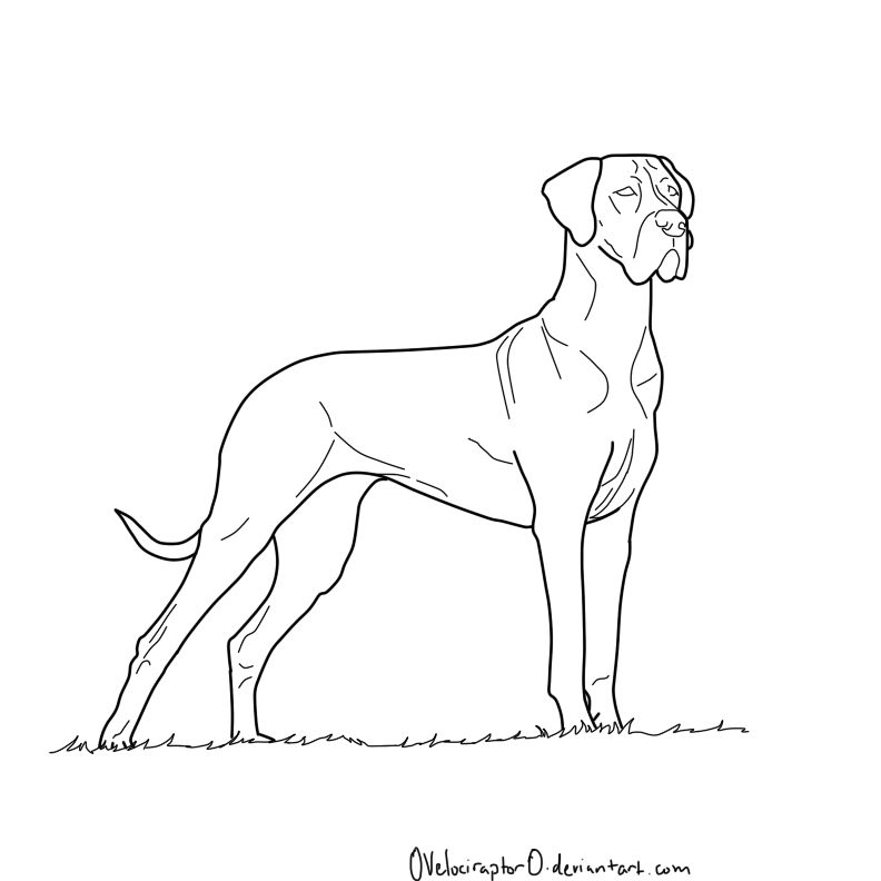 Great Dane Lineart