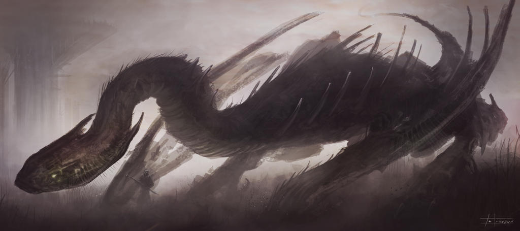 dragon sketch