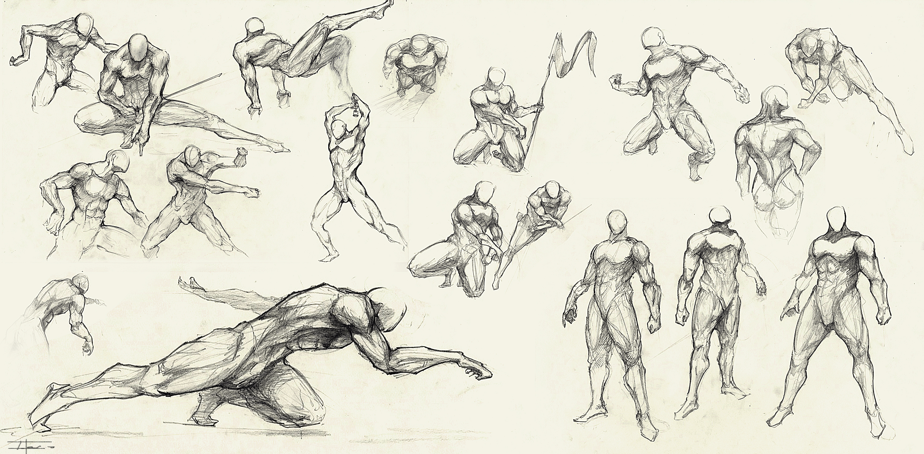 Anatomy practice (6-5-13)