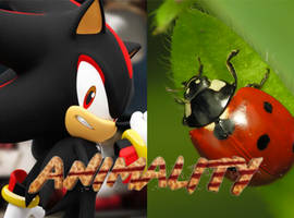 MK1: Shadow The Hedgehog Animality