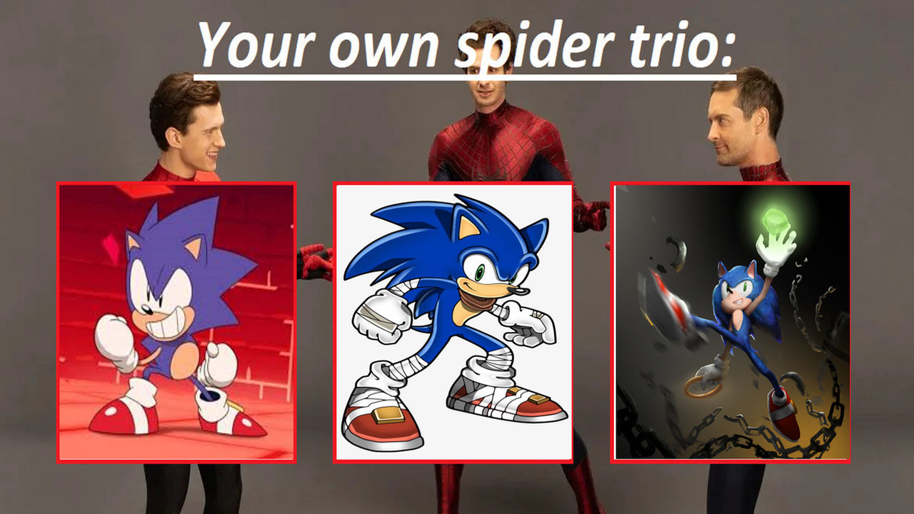 The Spider Hedgehog Trio