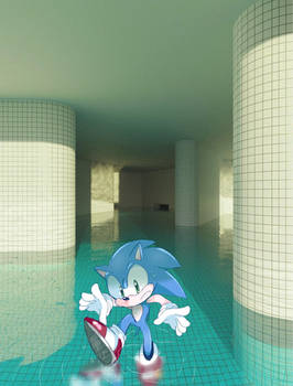 Sonic In The Poolrooms (Fanart Edit)