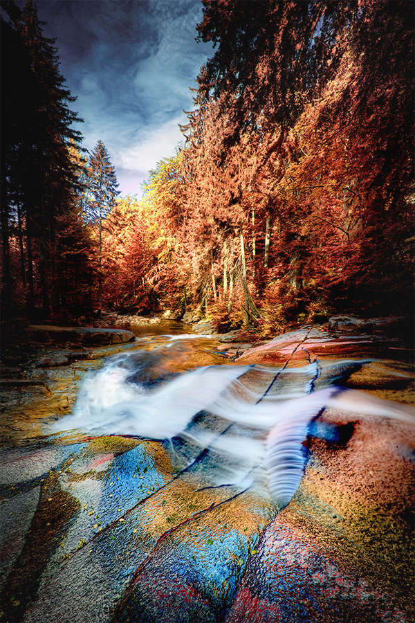 the Pan within by werol the Pan within by werol