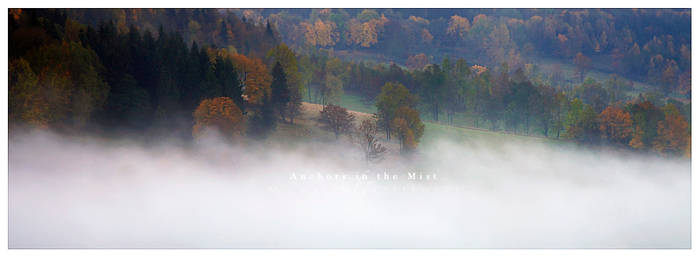 Anchors in the Mist