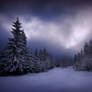 fairy tale