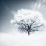 Breathe