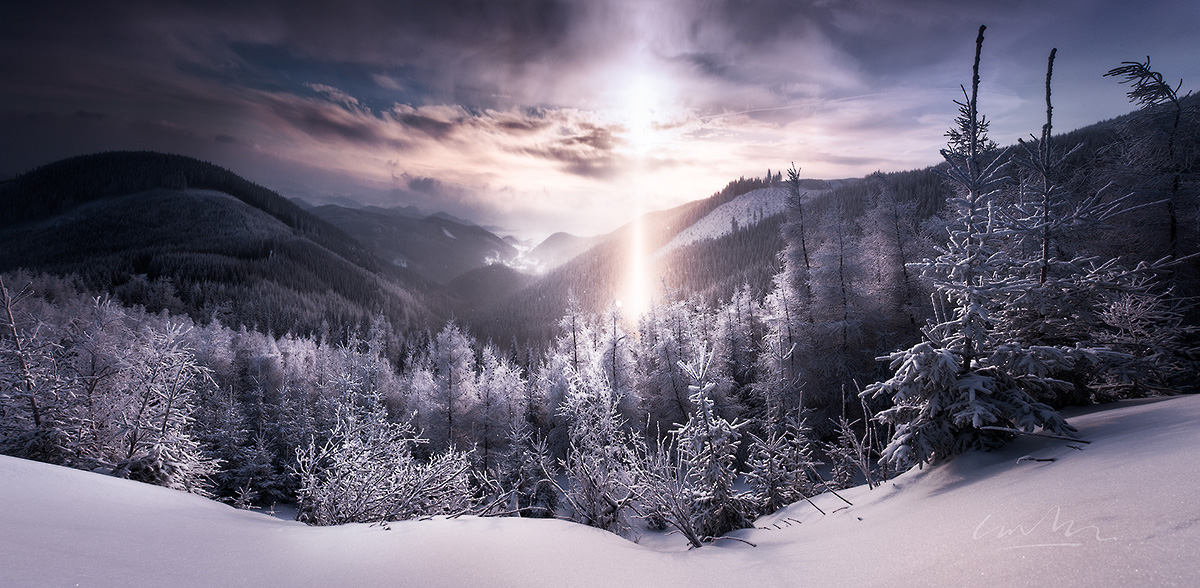 A Winter's Tale