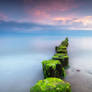 Silent Secrets of Dawn
