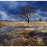 floods