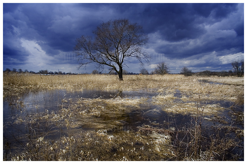 floods