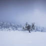 Frozen Guardian