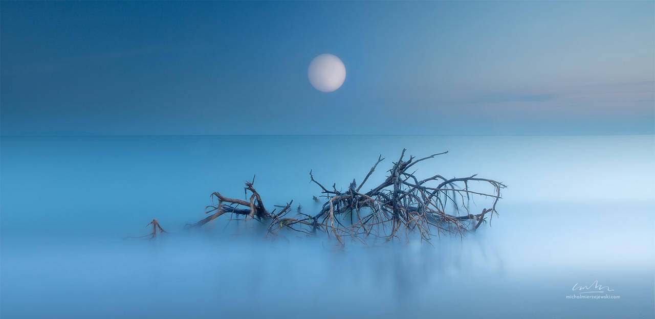 Blind Moon by werol on DeviantArt