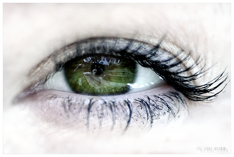 The shot within by werol