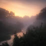 Where Silence Speaks
