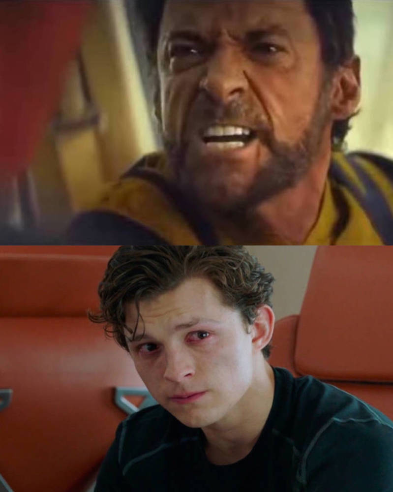 Wolverine roast Peter 1 by Jquiles21 on DeviantArt