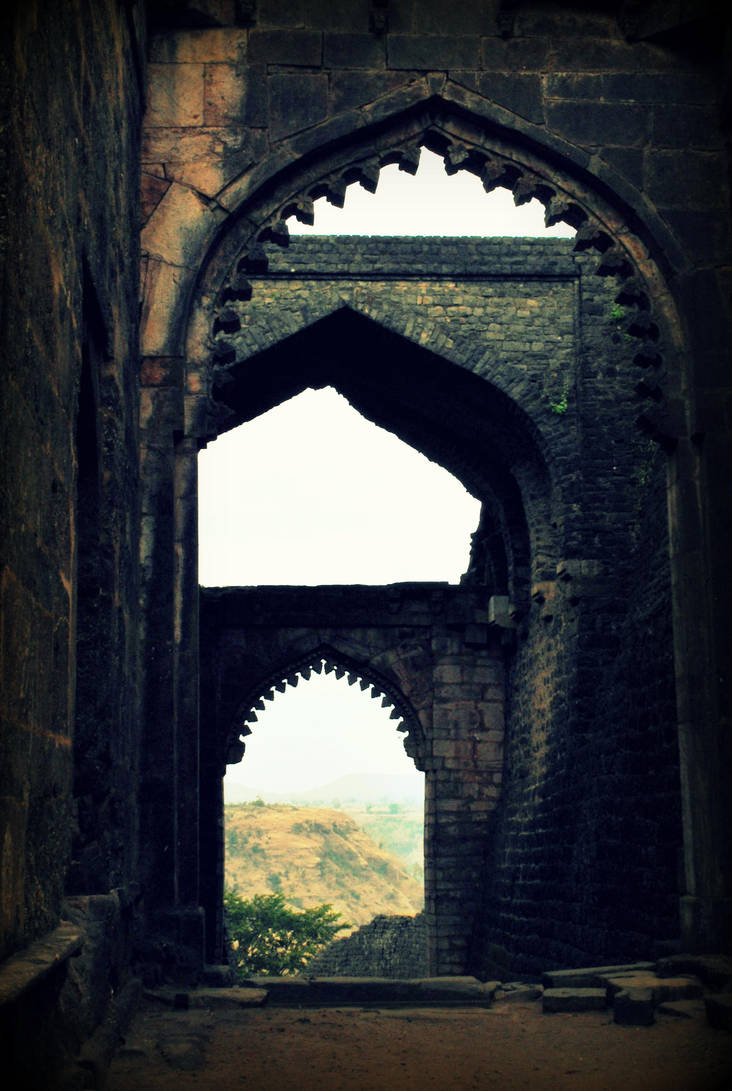 Elephant Walkway by vi0let0nwhite Elephant Walkway by vi0let0nwhite