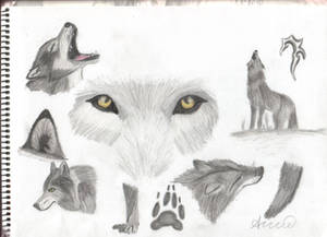 Wolves