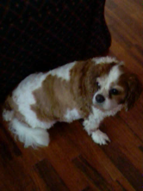 cutsey by Larka18 on DeviantArt