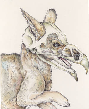Wolbabone by jessburnett Wolbabone by jessburnett