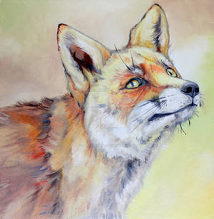 Red Fox by jessburnett Red Fox by jessburnett