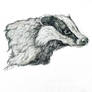 Badger 