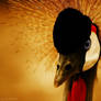 Crawned Crane