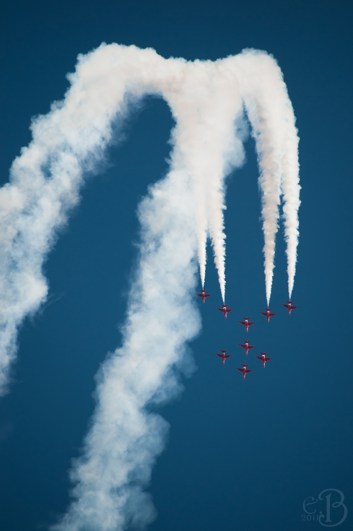 Airexpo 2011