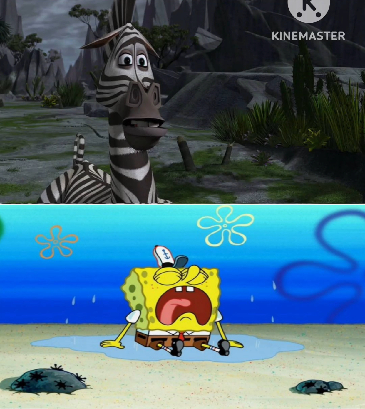 Marty The Zebra Feels Bad For SpongeBob by erianeli on DeviantArt