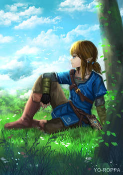 Link | The Legend of Zelda : Breath of the Wild