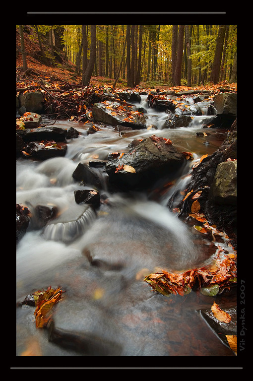 The creek in autumn