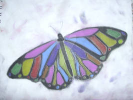 Colored Chalk Butterfly