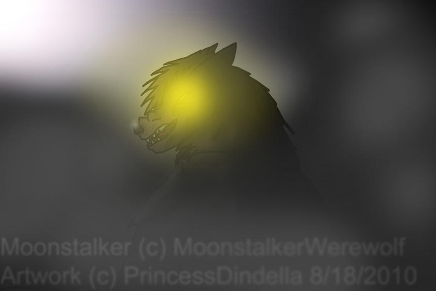 Moonstalker Runt Moonstalker is Headstrong by PrincessDindella on DeviantArt