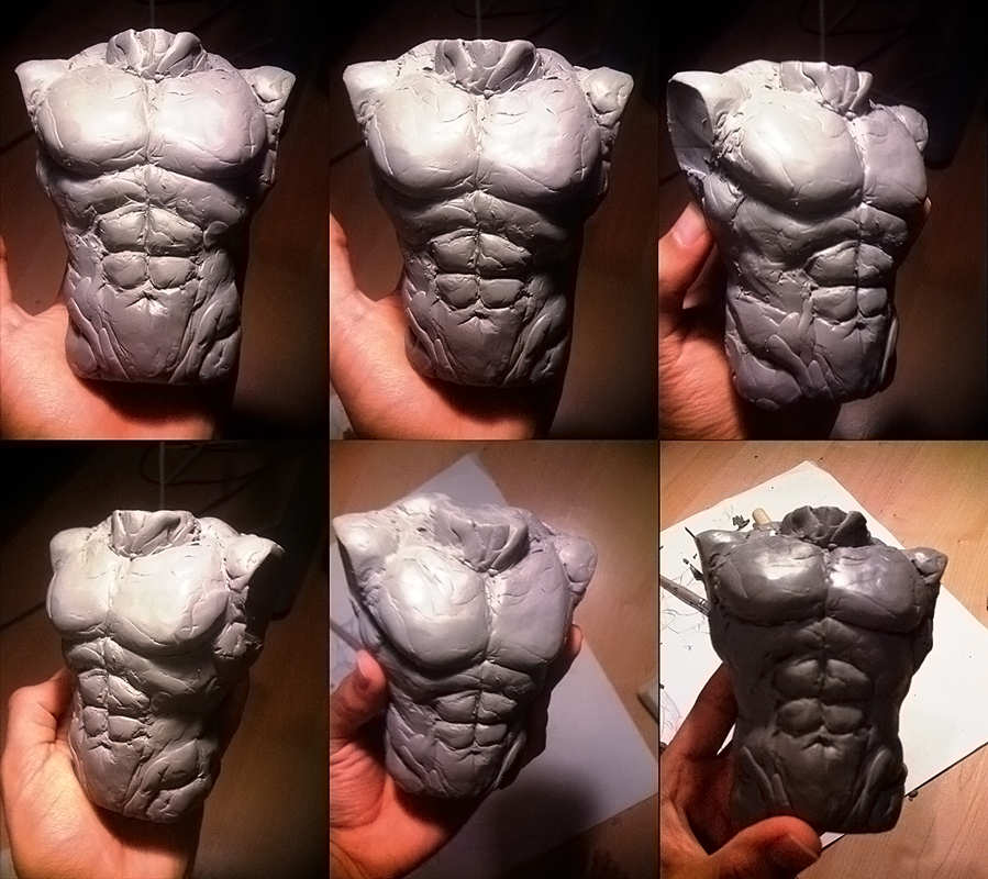 Torso Study