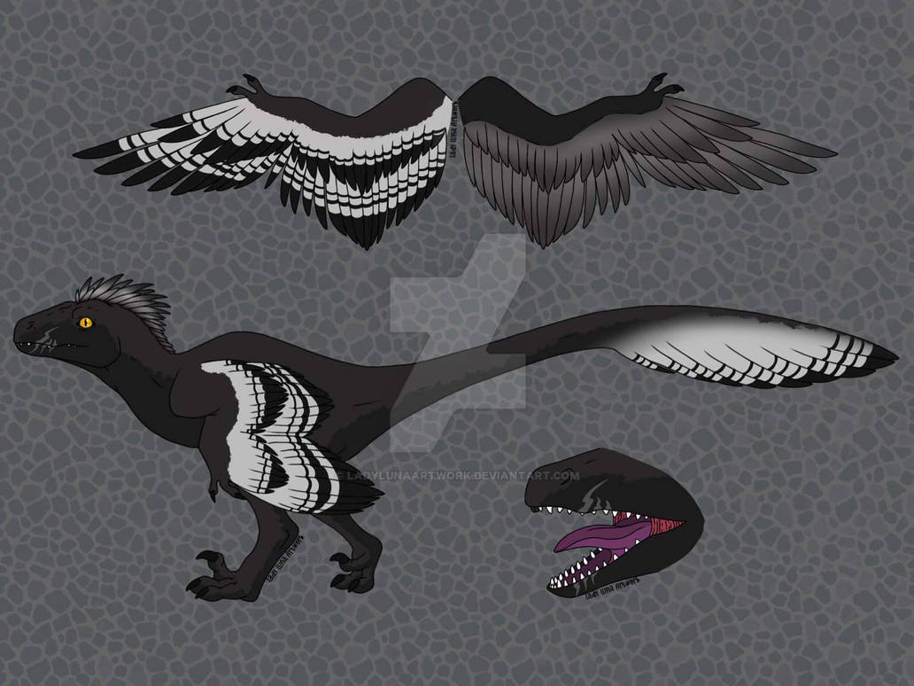 Raptor by LadyLunaArtwork on DeviantArt