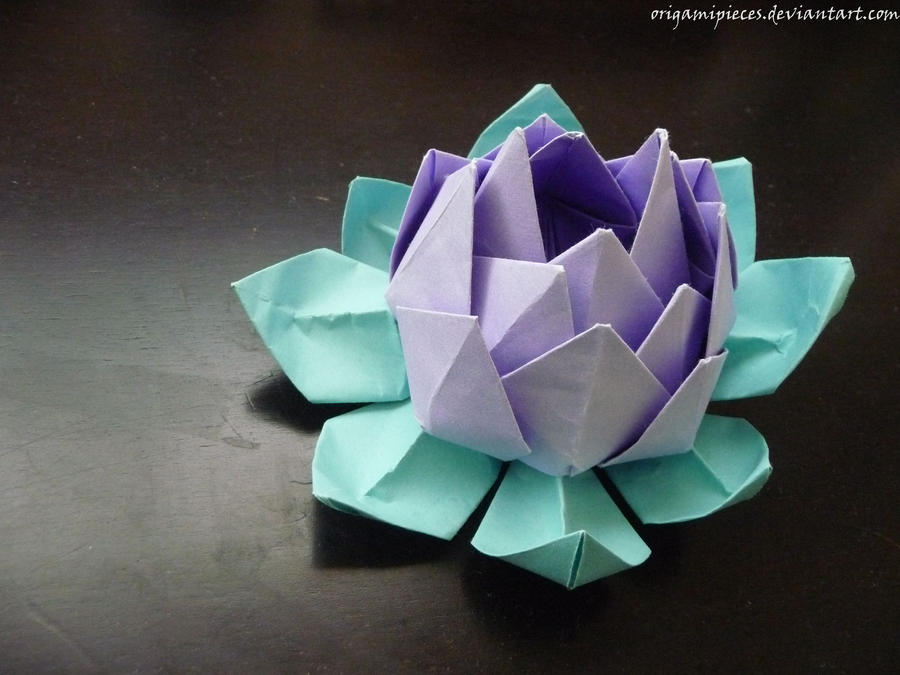 Origami Lotus