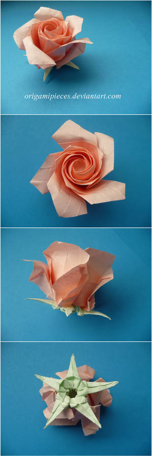 Origami Pentagon Rose