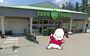 Sanrio Pochacco At Save On Food