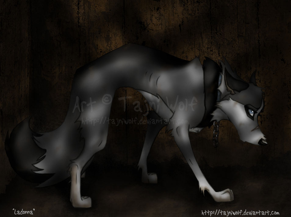 Balto fanart: Ladonna