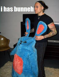 Davey's Bunny