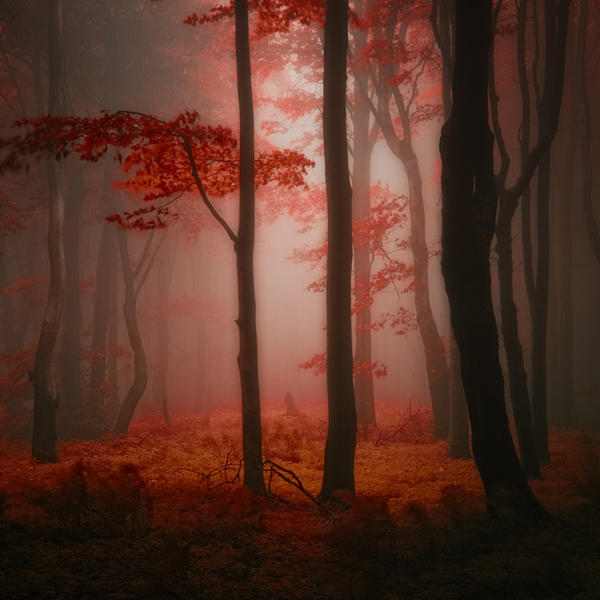 -Lost red story- by Janek-Sedlar on DeviantArt