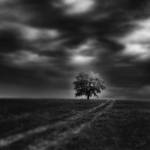 -Finding the way to a home- by Janek-Sedlar