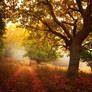 -Meditation of autumn-