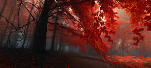 -Sacred shivers-
