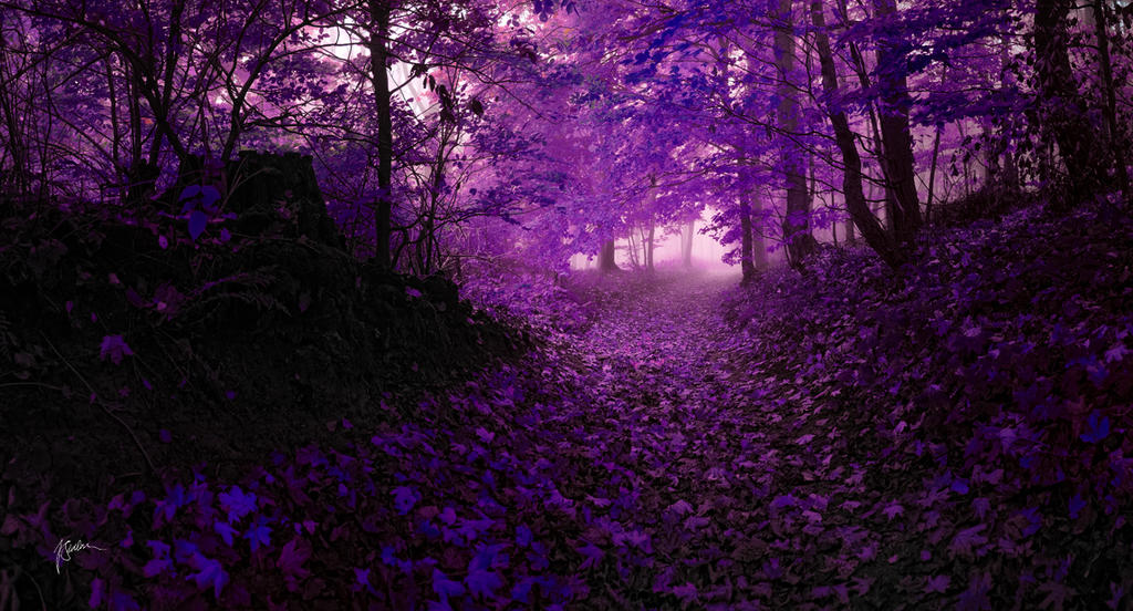 Розовый цветок в лесу. Фиолетовые картинки. Сиреневые цветы. Фиолетовый лес. Красивый фиолетовый.