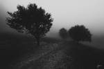 -Carpathian mists- by Janek-Sedlar