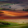 -Moravian fields-