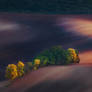 -Moravian fields II-