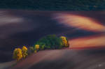 -Moravian fields II- by Janek-Sedlar